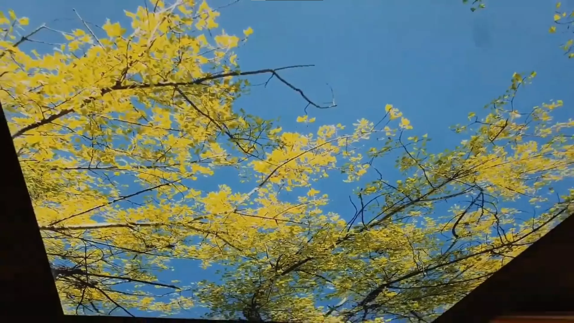 Батайск, , фото 2